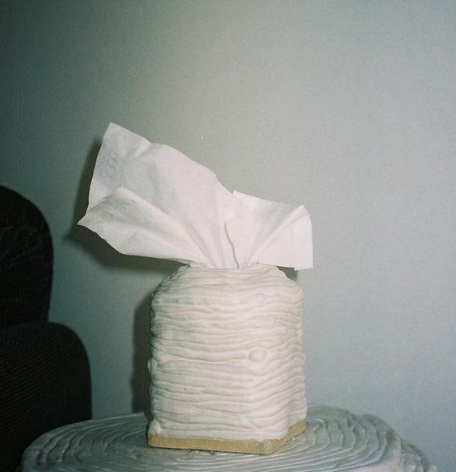 Tissue Box by Elianah Sukoenig