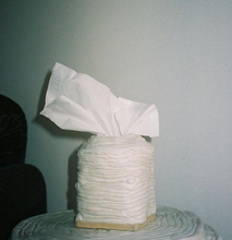 Load image into Gallery viewer, Tissue Box by Elianah Sukoenig
